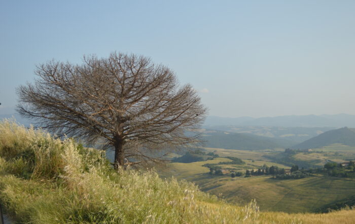 Los 4 pilares y los 8 tipos de personas altamente sensibles (PAS)