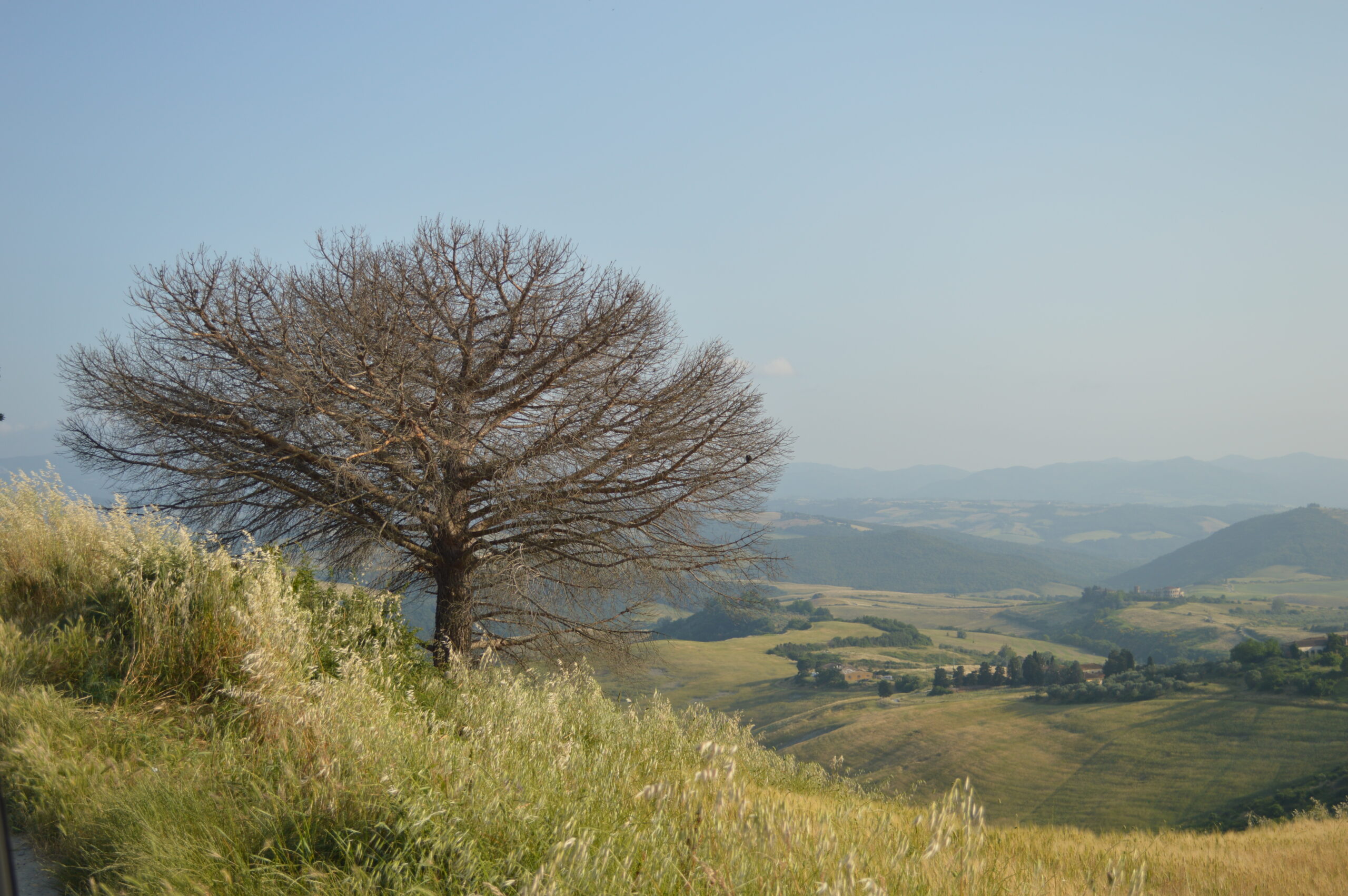 Los 4 pilares y los 8 tipos de personas altamente sensibles (PAS)