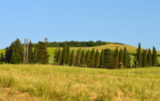 Los 4 pilares y los 8 tipos de personas altamente sensibles (PAS)