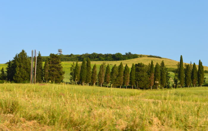 Los 4 pilares y los 8 tipos de personas altamente sensibles (PAS)