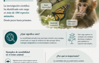 La ciencia actual respalda la existencia del rasgo SPS aunque continúan los estudios sobre sus límites y características.